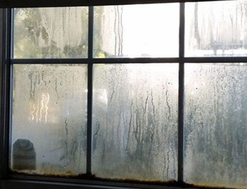 Fogged Window Repair